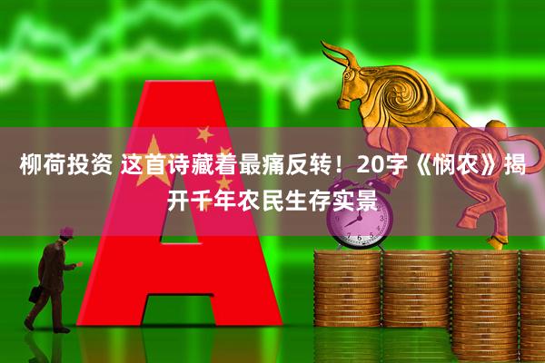 柳荷投资 这首诗藏着最痛反转！20字《悯农》揭开千年农民生存实景