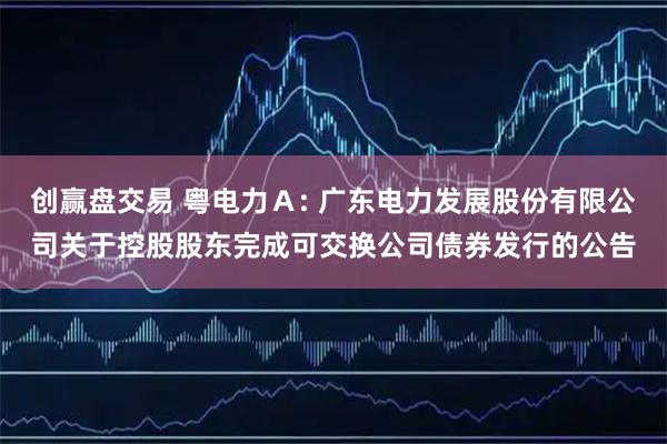创赢盘交易 粤电力Ａ: 广东电力发展股份有限公司关于控股股东完成可交换公司债券发行的公告
