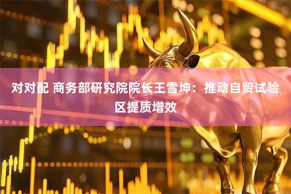 对对配 商务部研究院院长王雪坤：推动自贸试验区提质增效