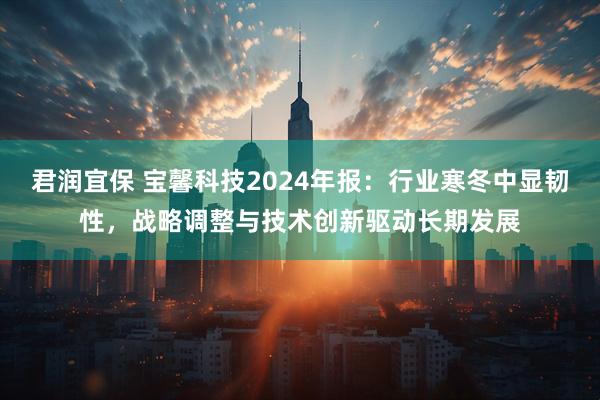 君润宜保 宝馨科技2024年报：行业寒冬中显韧性，战略调整与技术创新驱动长期发展