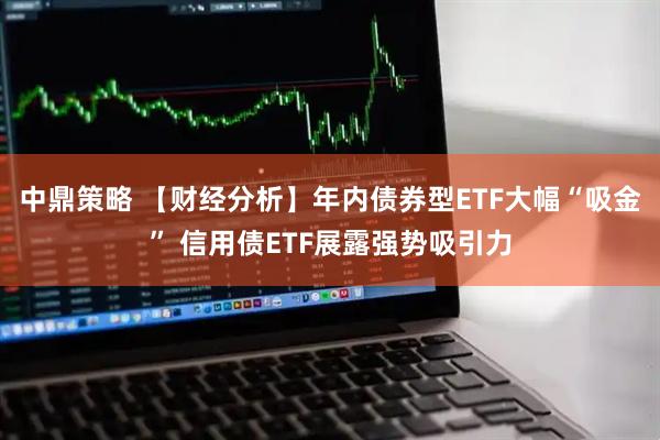 中鼎策略 【财经分析】年内债券型ETF大幅“吸金” 信用债ETF展露强势吸引力