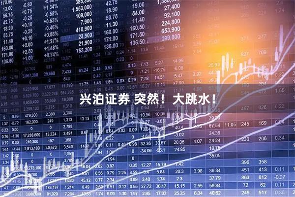 兴泊证券 突然！大跳水！