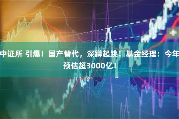 中证所 引爆！国产替代，深蹲起跳！基金经理：今年预估超3000亿！