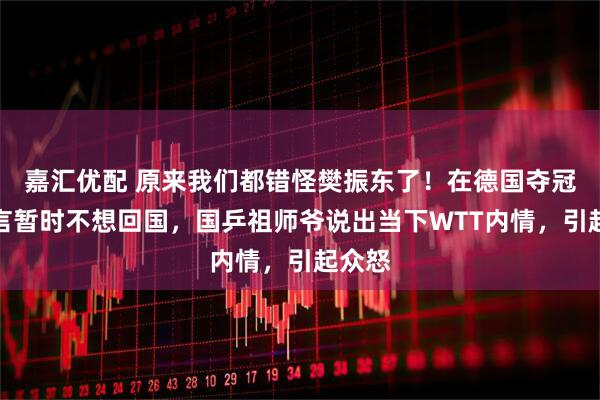嘉汇优配 原来我们都错怪樊振东了！在德国夺冠后直言暂时不想回国，国乒祖师爷说出当下WTT内情，引起众怒