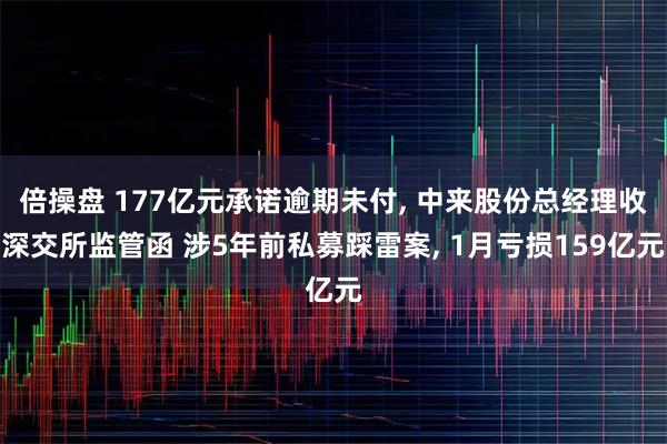 倍操盘 177亿元承诺逾期未付, 中来股份总经理收深交所监管函 涉5年前私募踩雷案, 1月亏损159亿元