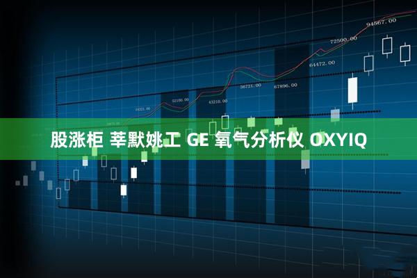 股涨柜 莘默姚工 GE 氧气分析仪 OXYIQ