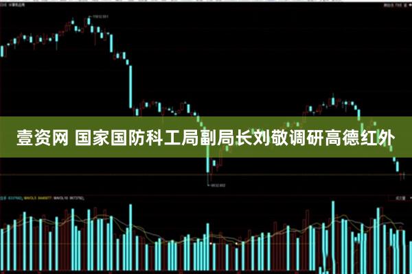 壹资网 国家国防科工局副局长刘敬调研高德红外